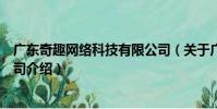 廣東奇趣網絡科技有限公司(關于廣東奇趣網絡科技有限公司介紹)