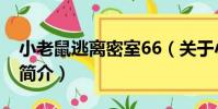 小老鼠逃離密室66(關于小老鼠逃離密室66簡介)