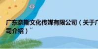 廣東奈斯文化傳媒有限公司(關于廣東奈斯文化傳媒有限公司介紹)