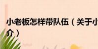 小老板怎樣帶隊伍(關于小老板怎樣帶隊伍簡介)