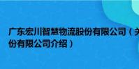 廣東宏川智慧物流股份有限公司(關于廣東宏川智慧物流股份有限公司介紹)