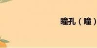 瞳孔(瞳)