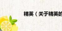 精英(關于精英的簡介)