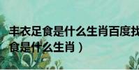 豐衣足食是什么生肖百度找最佳答案(豐衣足食是什么生肖)