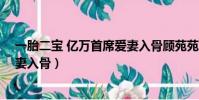 一胎二寶 億萬首席愛妻入骨顧苑苑(一胎二寶 億萬首席愛妻入骨)