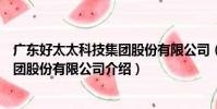 廣東好太太科技集團股份有限公司(關于廣東好太太科技集團股份有限公司介紹)