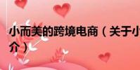 小而美的跨境電商(關于小而美的跨境電商簡介)