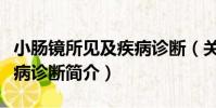 小腸鏡所見及疾病診斷(關于小腸鏡所見及疾病診斷簡介)
