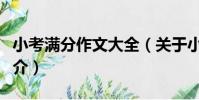 小考滿分作文大全(關于小考滿分作文大全簡介)