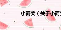 小而美(關于小而美簡介)