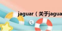 jaguar(關于jaguar的簡介)
