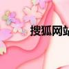 搜狐網站類型（搜狐網站的特點）