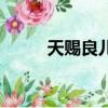 天賜良兒（關于天賜良兒的簡介）