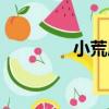 小荒唐（關于小荒唐簡介）