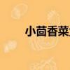 小茴香菜盒（關于小茴香菜盒簡介）