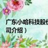 廣東小哈科技股份有限公司（關于廣東小哈科技股份有限公司介紹）