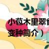 小苞木里翠雀花 變種（關于小苞木里翠雀花 變種簡介）