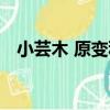小蕓木 原變種（關于小蕓木 原變種簡介）