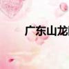 廣東山龍眼（關于廣東山龍眼介紹）