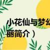 小花仙與夢幻葉羅麗（關于小花仙與夢幻葉羅麗簡介）