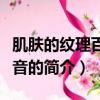 肌膚的紋理百度影音（關于肌膚的紋理百度影音的簡介）