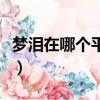 夢淚在哪個平臺直播的（夢淚在哪個平臺直播）
