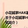 小花堿茅HAK基因的克隆及其對截形苜蓿遺傳轉化的研究（關于小花堿茅HAK基因的克隆及其對截形苜蓿遺傳轉化的研究簡介）
