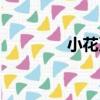 小花系（關于小花系簡介）