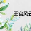 王宮風云（關于王宮風云的簡介）