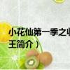 小花仙第一季之收復精靈王（關于小花仙第一季之收復精靈王簡介）