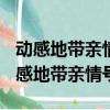 動感地帶親情號碼09版2檔怎么添加號碼（動感地帶親情號碼）
