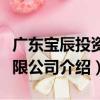 廣東寶辰投資有限公司（關于廣東寶辰投資有限公司介紹）
