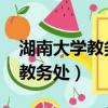 湖南大學教務處 李凡 處分 2007（湖南大學教務處）
