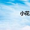 小花旦（關于小花旦簡介）