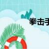 拳擊手（關于拳擊手的簡介）