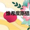維希度斯獵人怎么打（維希度斯怎么殺）