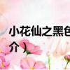 小花仙之黑色奇跡（關于小花仙之黑色奇跡簡介）