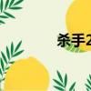 殺手2終極刺客（終極刺客）