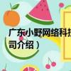 廣東小野網絡科技有限公司（關于廣東小野網絡科技有限公司介紹）