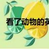 看了動物的英文是什么（看了動物的英文）
