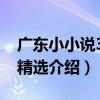 廣東小小說30年精選（關于廣東小小說30年精選介紹）