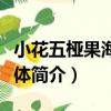 小花五椏果海南個體（關于小花五椏果海南個體簡介）