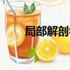 局部解剖學（關于局部解剖學簡介）