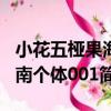 小花五椏果海南個體001（關于小花五椏果海南個體001簡介）