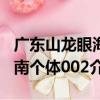 廣東山龍眼海南個體002（關于廣東山龍眼海南個體002介紹）
