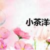 小茶洋村（關于小茶洋村簡介）
