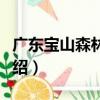 廣東寶山森林公園（關于廣東寶山森林公園介紹）