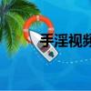 手淫視頻（關于手淫視頻的簡介）