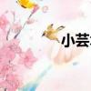 小蕓木（關于小蕓木簡介）