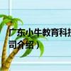 廣東小牛教育科技有限公司（關于廣東小牛教育科技有限公司介紹）